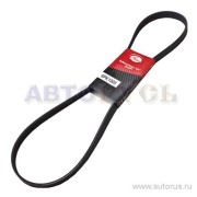 Gates 6PK1305 