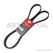 Gates 6PK2100 
