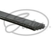 Gates 4PK813 